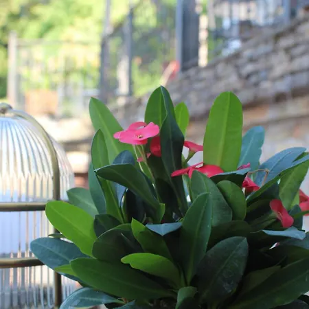 Archontiko Papoutsi * Mourésion